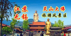 尻尻穴视频江苏无锡灵山大佛旅游风景区